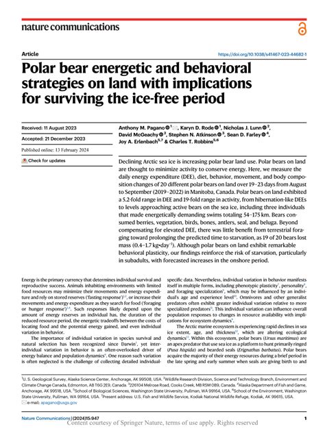 polar porn|Polar bear energetic and behavioral strategies on land with.